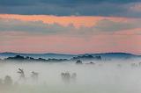 Foggy Daybreak_07343-4